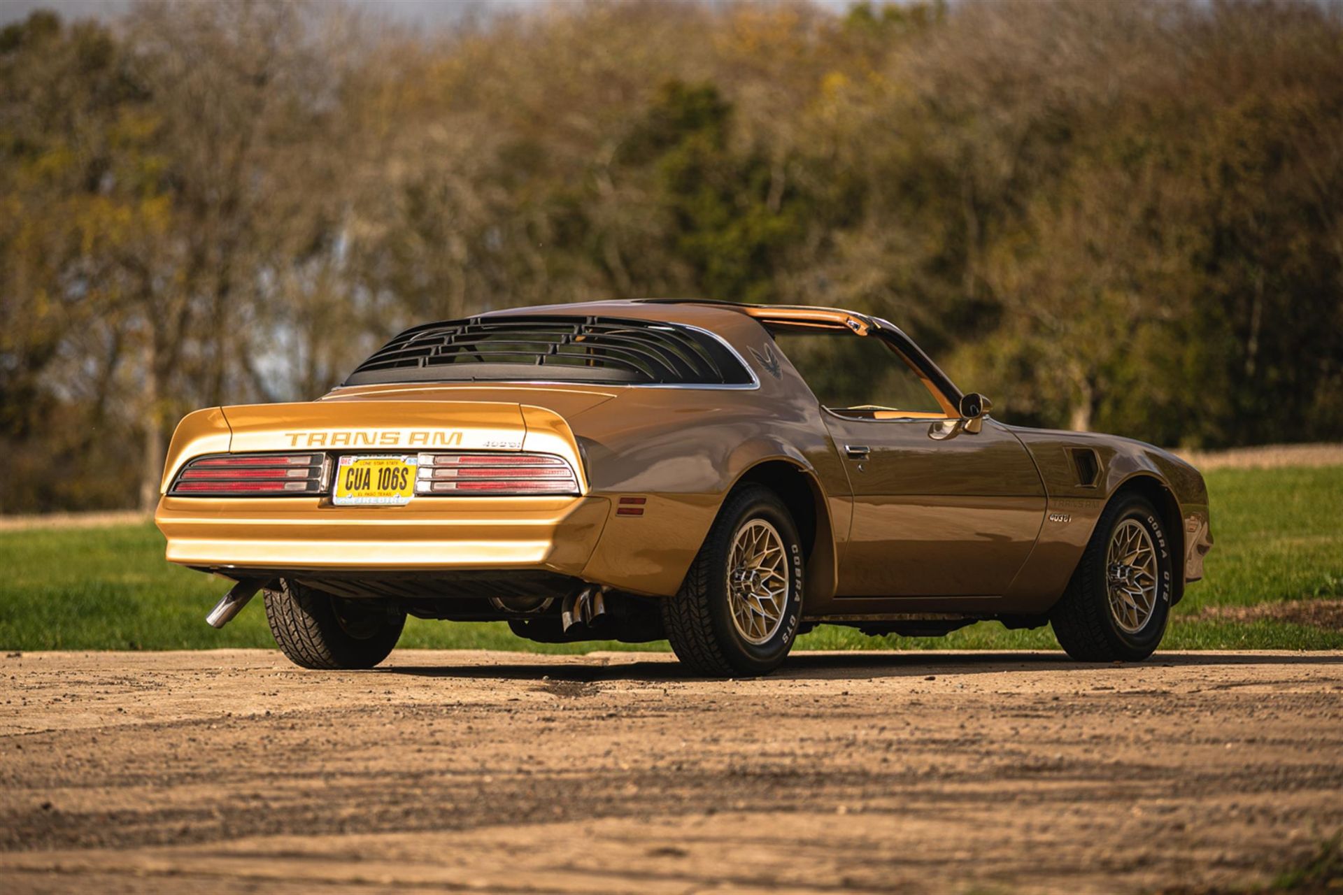 1978 Pontiac Firebird Trans Am T-Top - Image 4 of 10