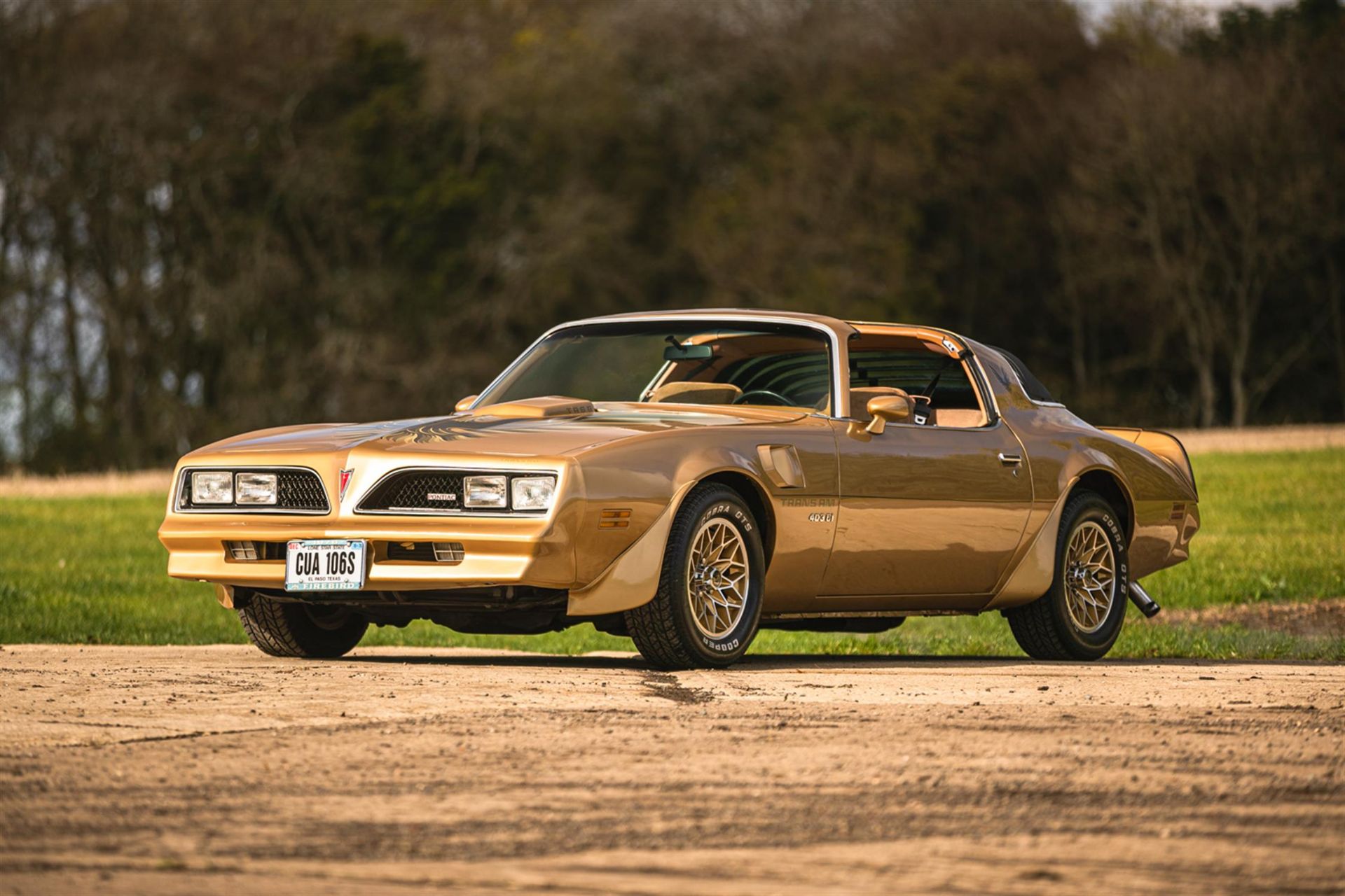 1978 Pontiac Firebird Trans Am T-Top