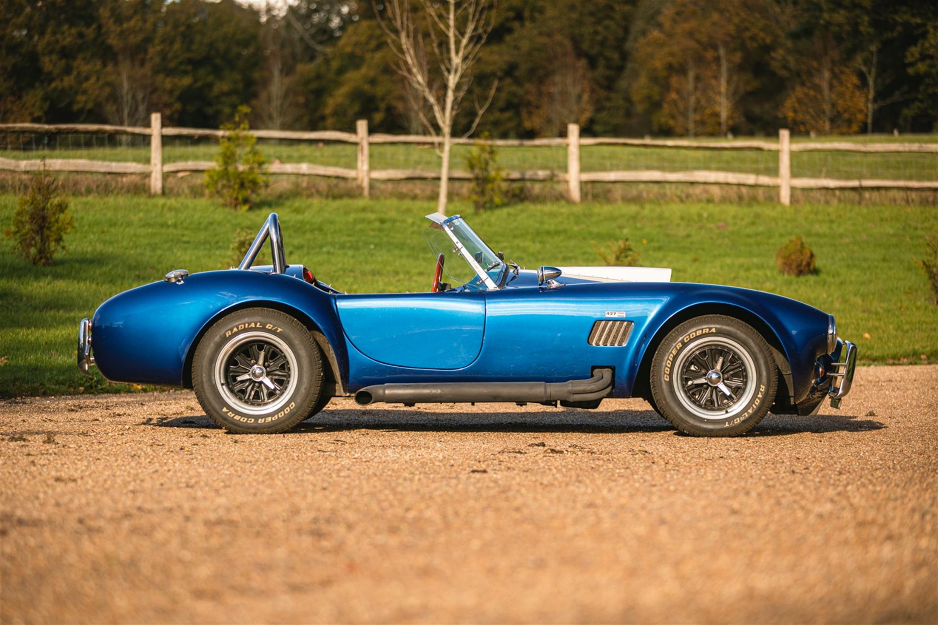 1975 AC Cobra Replica (Southern Roadcraft) - Image 10 of 10