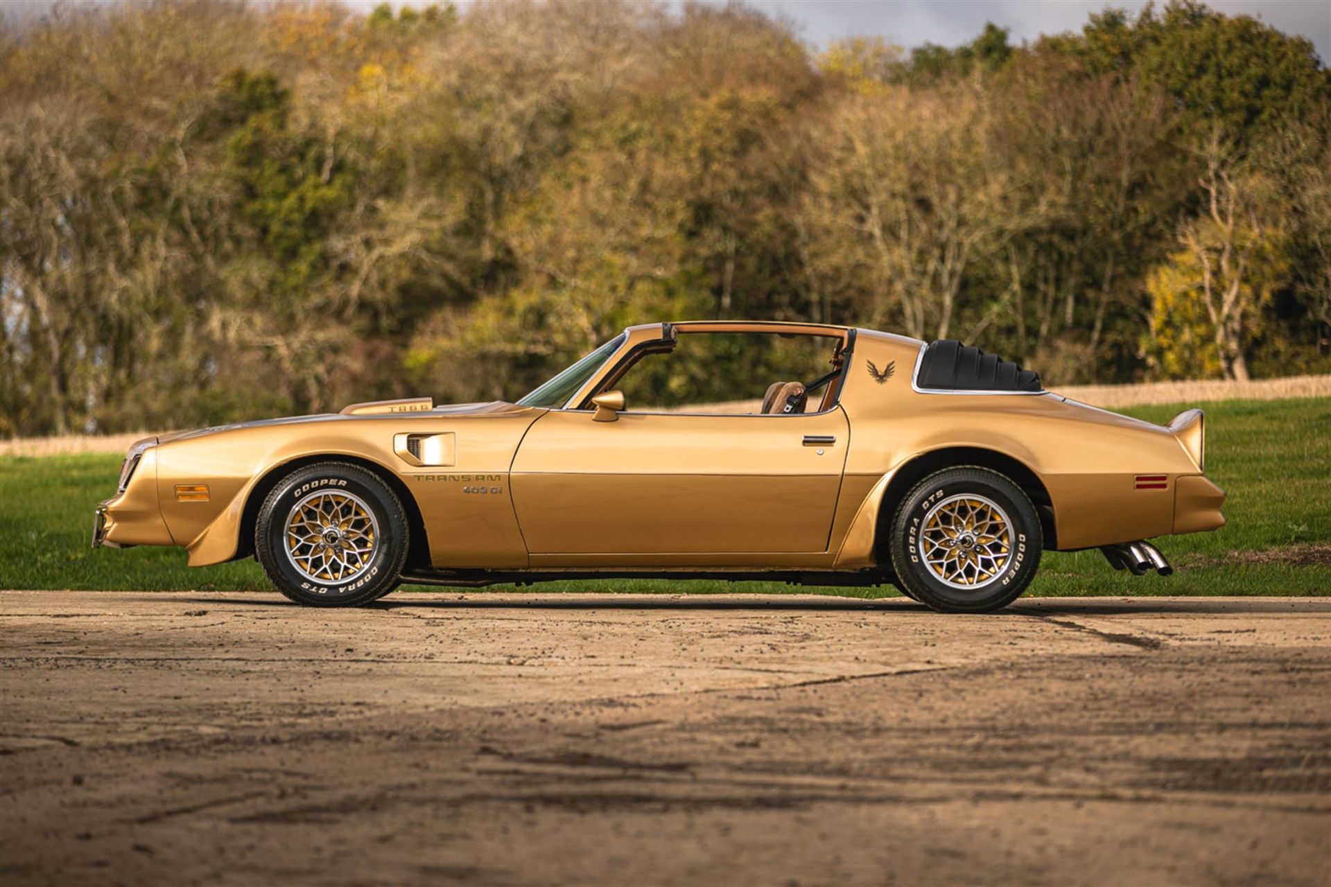 1978 Pontiac Firebird Trans Am T-Top - Image 5 of 10