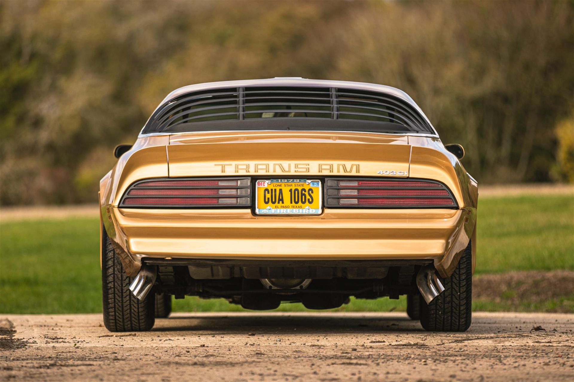 1978 Pontiac Firebird Trans Am T-Top - Image 7 of 10