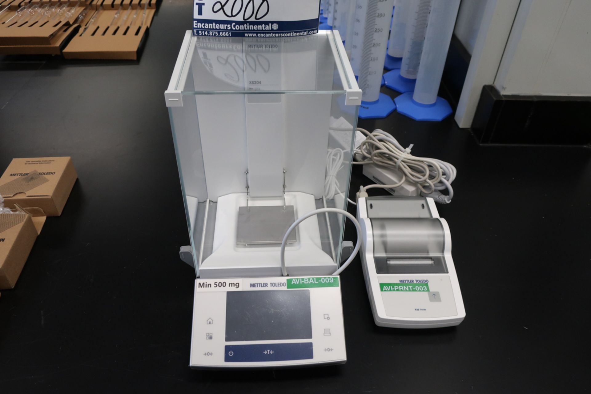 METLER TOLEDO XS204 ANALYTICAL SCALE, S/N: B717027127