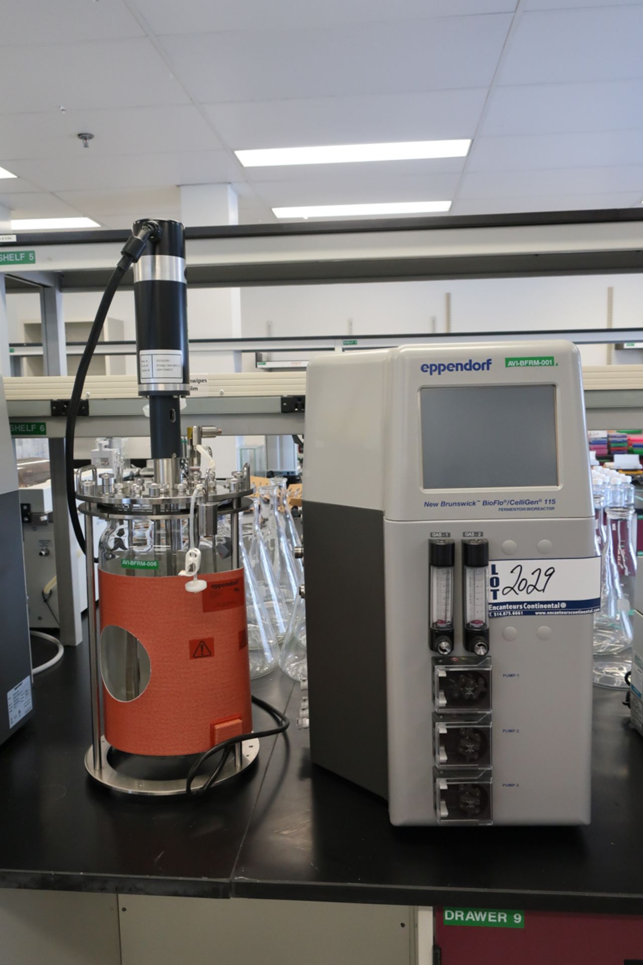 EPPENDORF-NEW BRUNSWICK BIOFLO/CELLIGEN 115 BENCHTOP FERMENTOR & BIOREACTOR, S/N: B115EL103809 W/ - Image 3 of 6