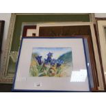 Framed pictures, prints & paintings