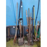 Collection of garden tools
