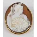 An oval brown shell cameo brooch, the carved cameo