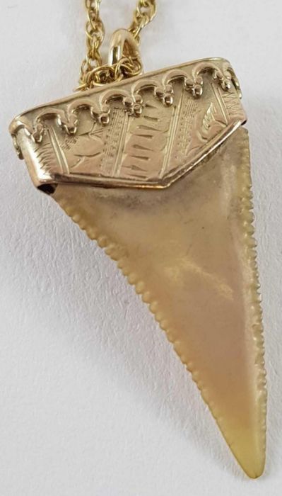 A 9ct gold locket and horseshoe pendant, 3.69g gro - Image 2 of 11