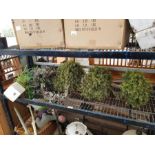 Collection of artificial trees and plants