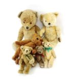 A straw filled teddy bear, along with various othe