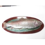 Circa 1940/50's stuffed trout mounted on stained o