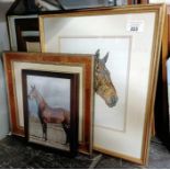 Frames & prints, all horse related