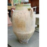 Terracotta Olive pot with 2 handles 54cm height