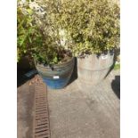 Large blue glazed plant pot with plant along with