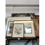 Shelf of framed pictures and canvases