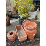 Collection of terracotta pots