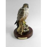 A Royal Doulton limited edition Peregrine Falcon f