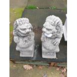 Pair of reconstituted stone Chinese style Fu dogs