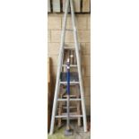 Set of French fruit picking ladders, along with 2