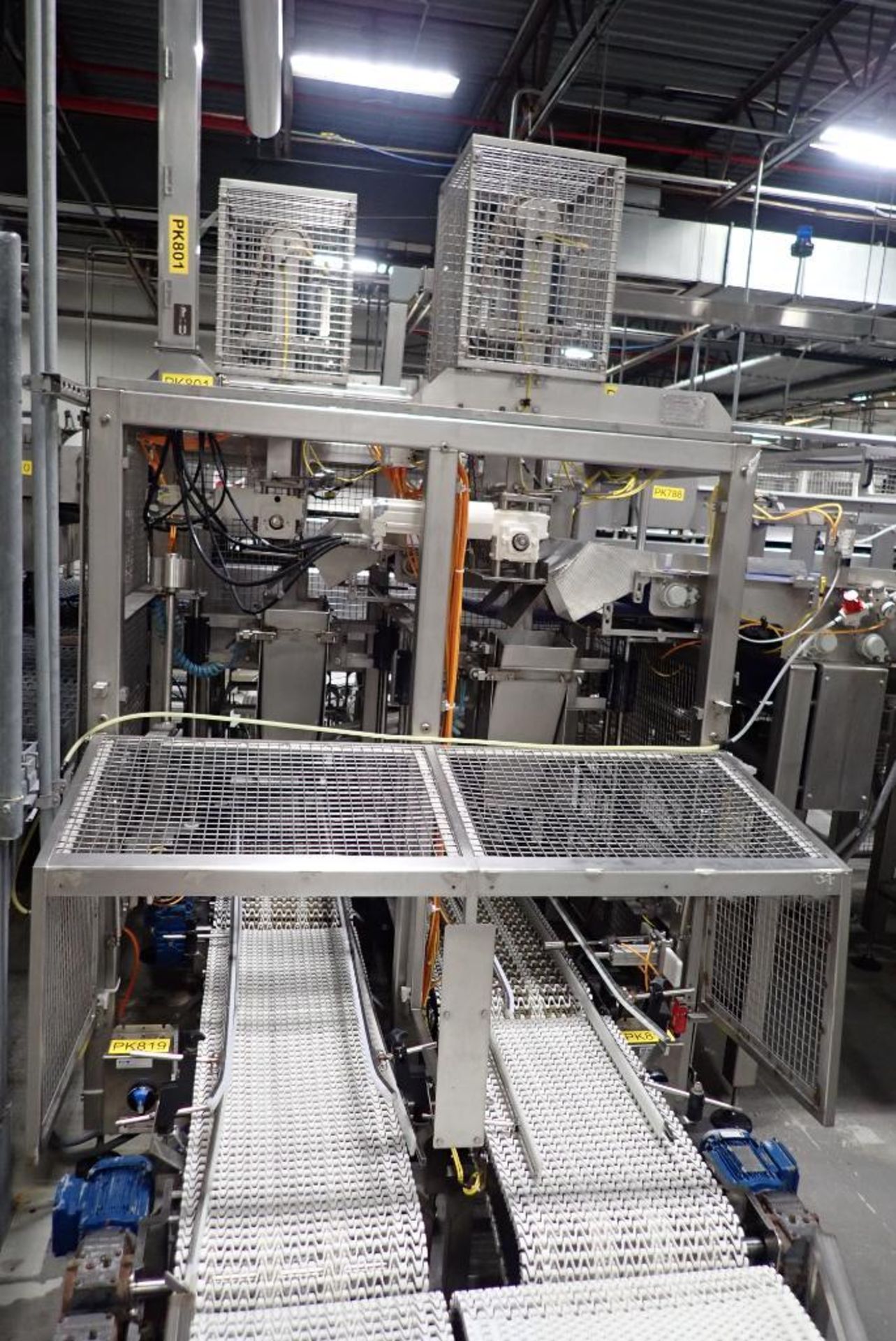 Dual station product lowerer with discharge conveyors - Image 9 of 23