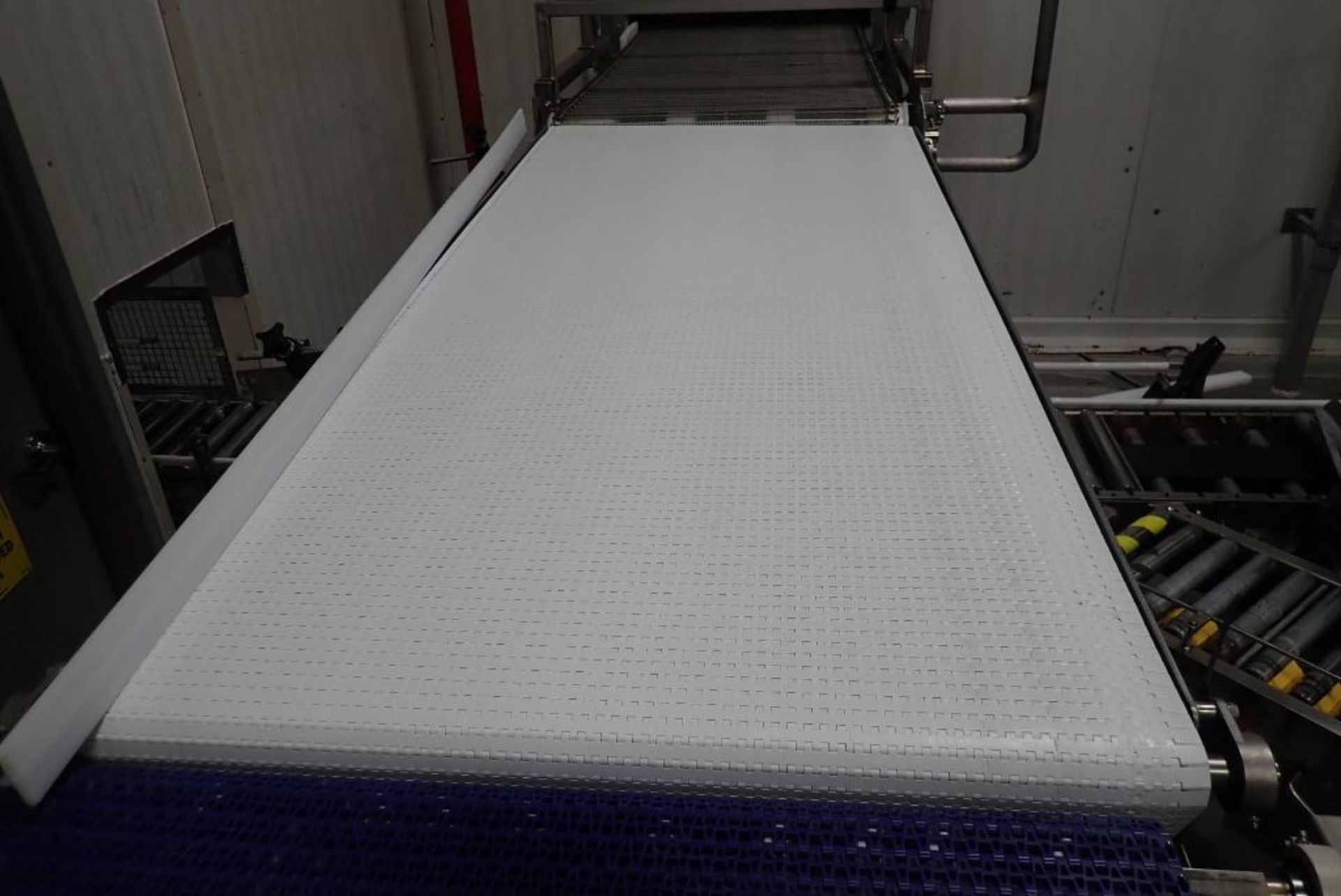 Transfer conveyor - Image 4 of 14