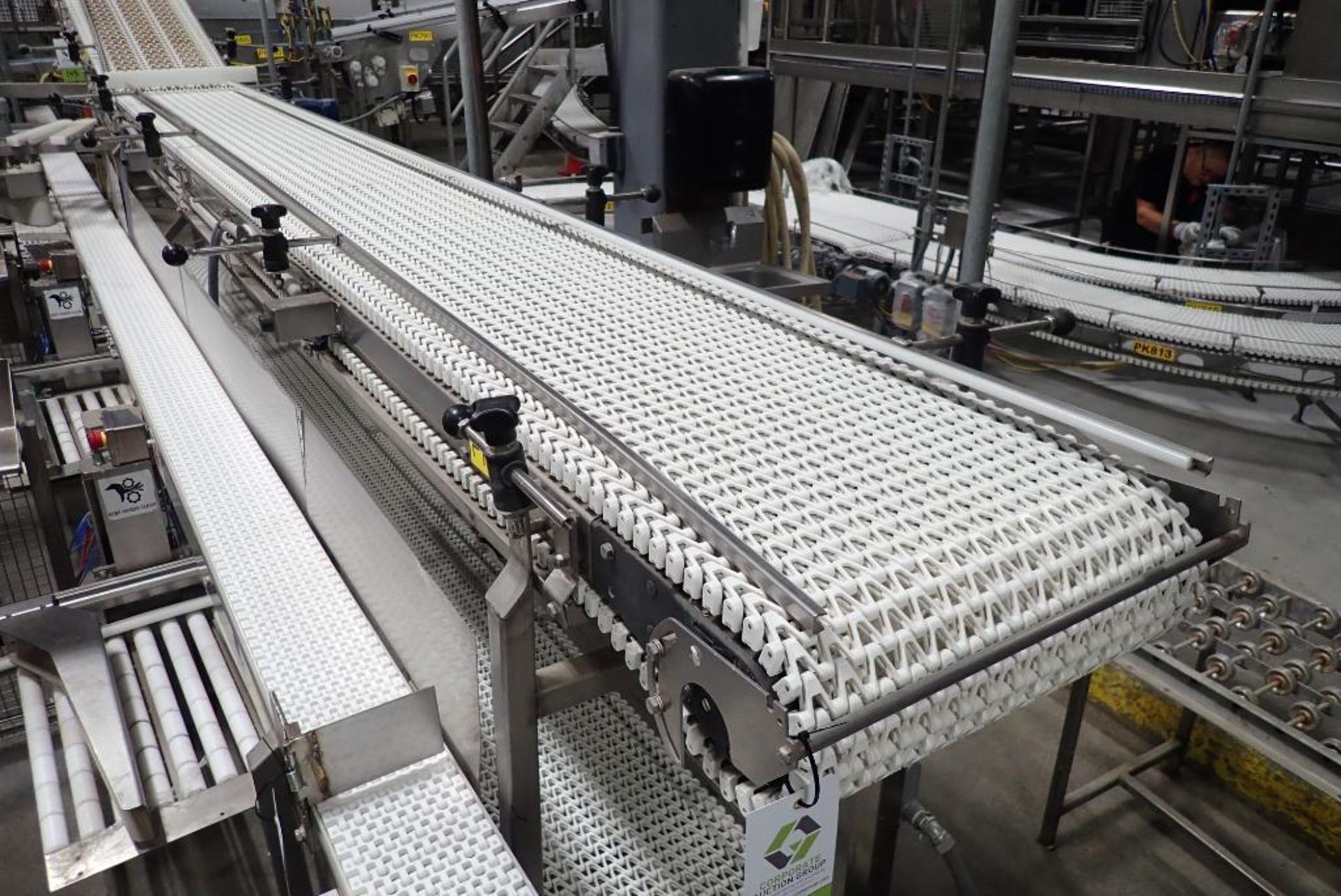 SpanTech conveyor - Image 6 of 12