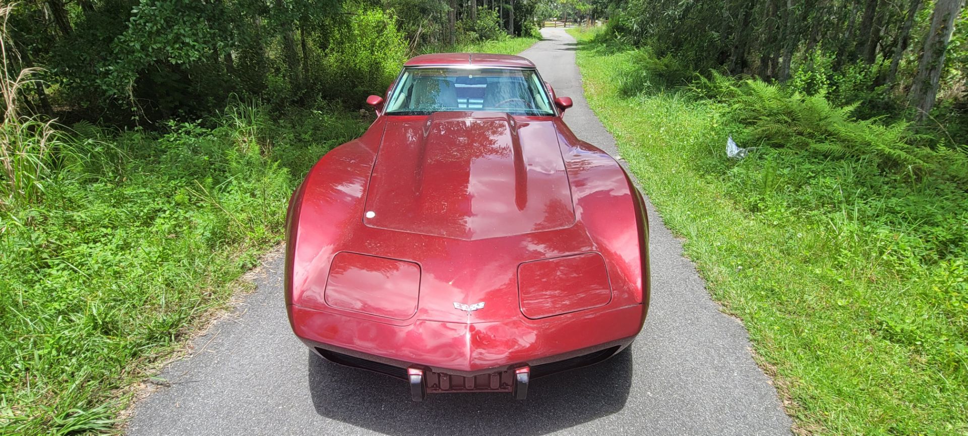 1979 Chevrolet Corvette Stingray T-Top Coupe - Image 7 of 19