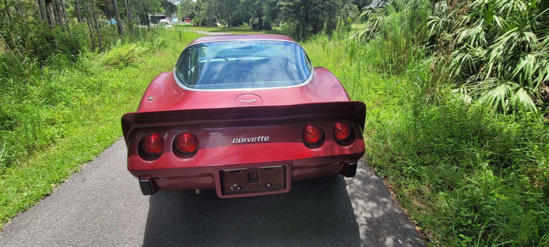 1979 Chevrolet Corvette Stingray T-Top Coupe - Image 8 of 19