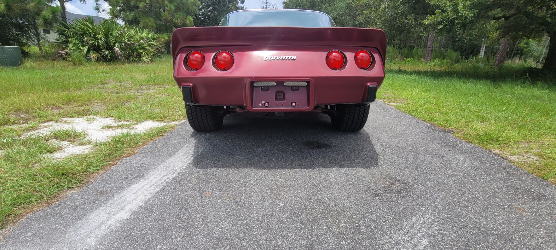 1979 Chevrolet Corvette Stingray T-Top Coupe - Image 9 of 19