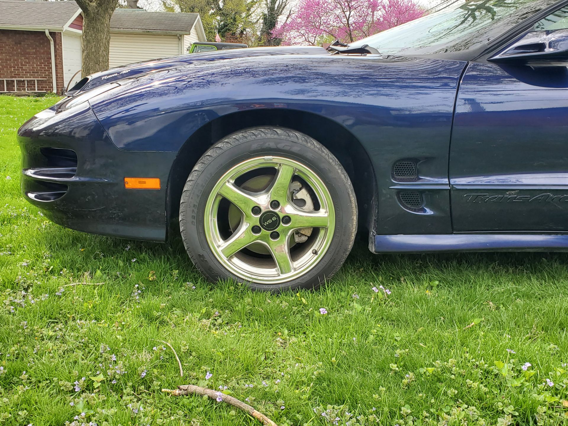 2000 Pontiac Trans Am WS6 Ram Air - Image 8 of 39