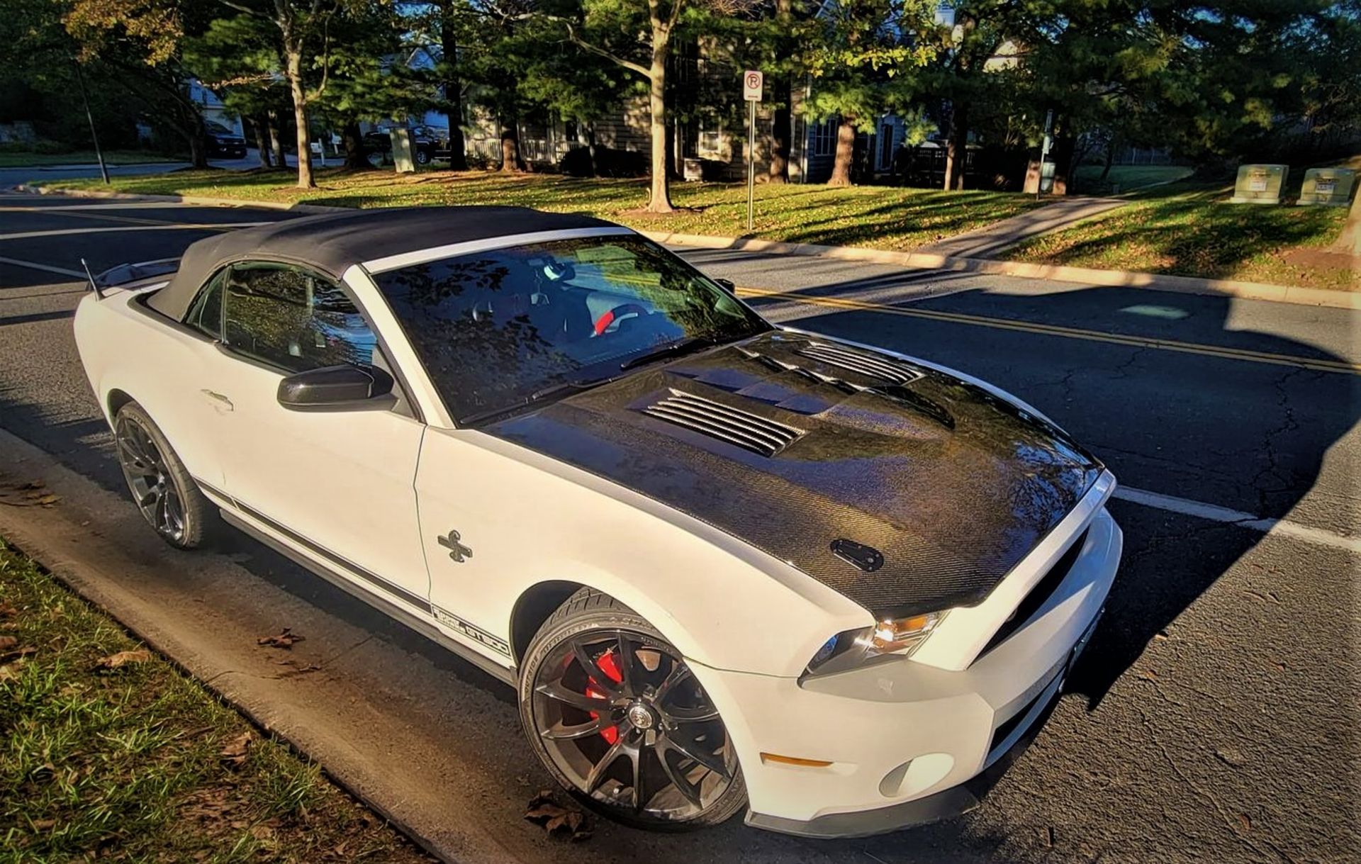 2010 Ford Mustang Custom GT500 Tribute Convertible