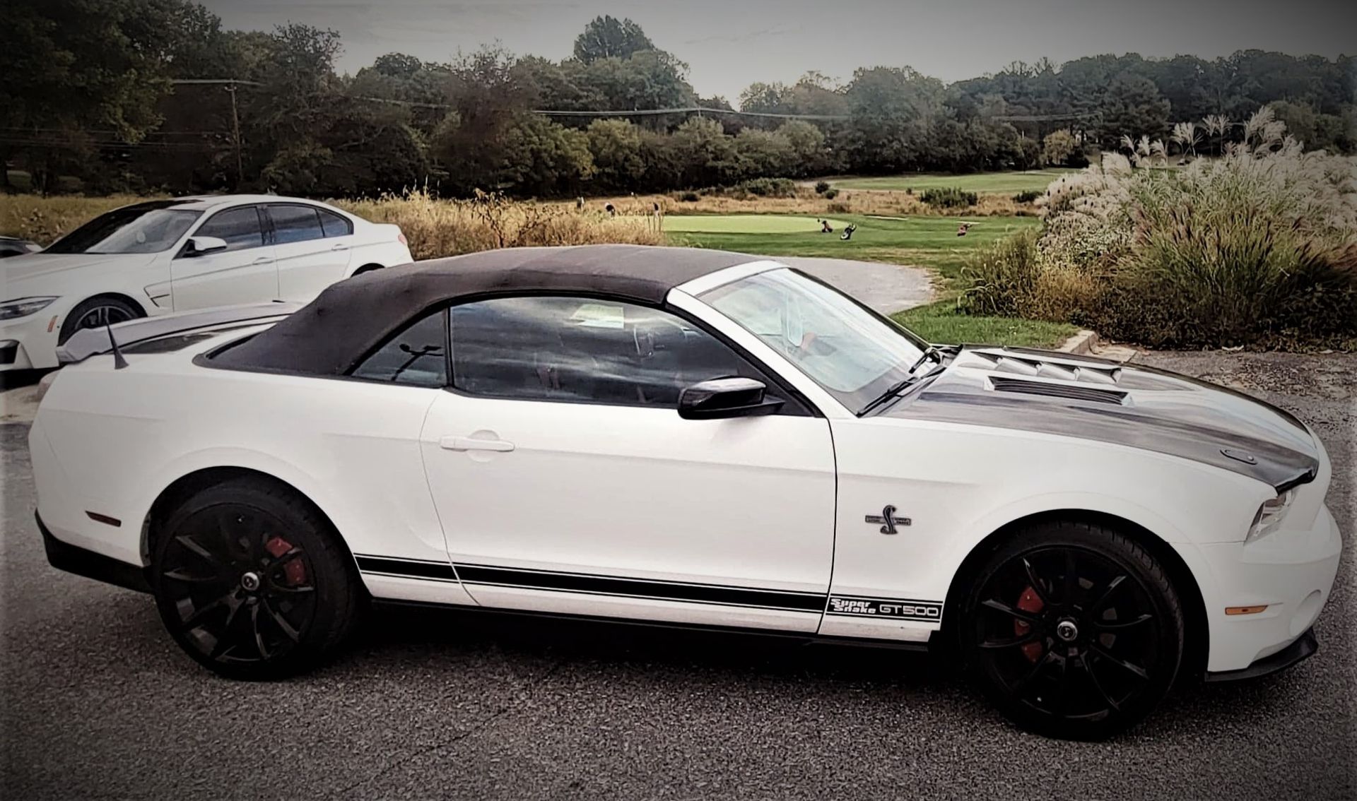 2010 Ford Mustang Custom GT500 Tribute Convertible - Image 2 of 12