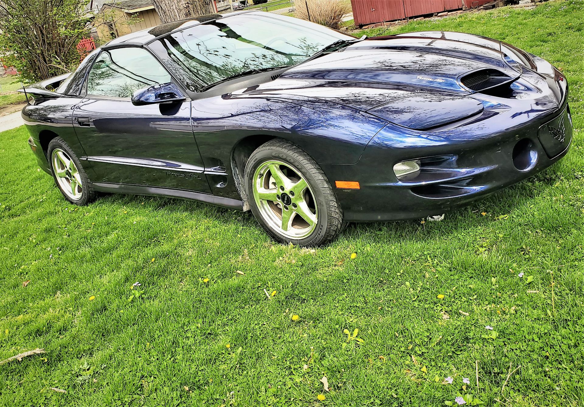 2000 Pontiac Trans Am WS6 Ram Air - Image 8 of 39