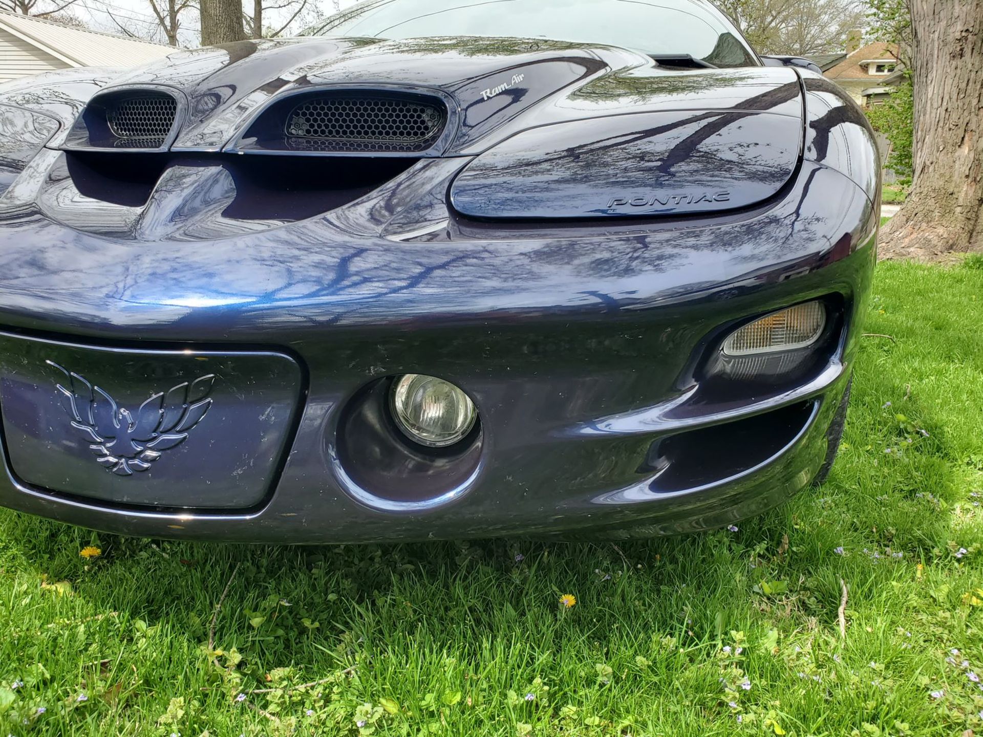 2000 Pontiac Trans Am WS6 Ram Air - Image 31 of 39