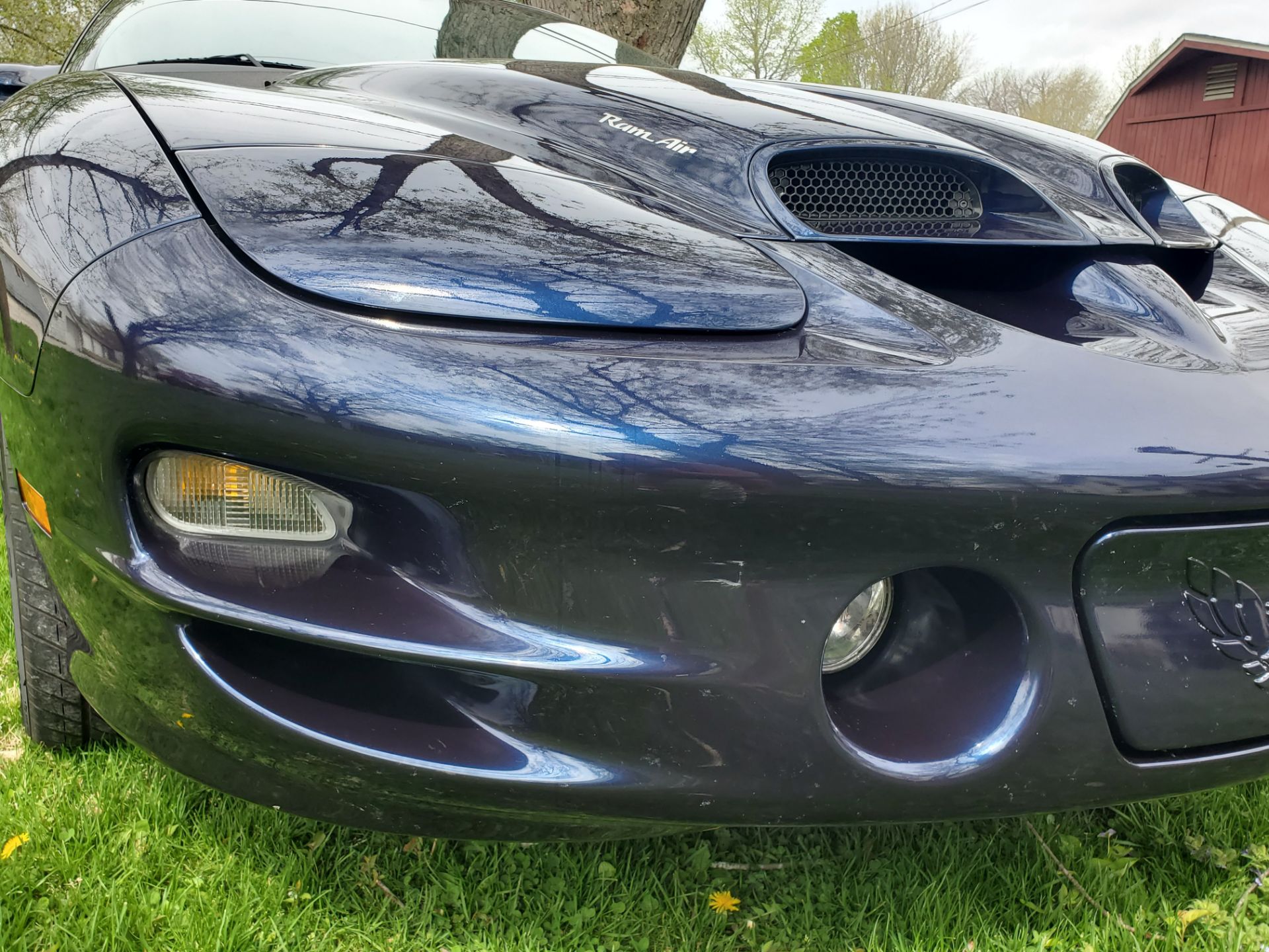 2000 Pontiac Trans Am WS6 Ram Air - Image 30 of 39