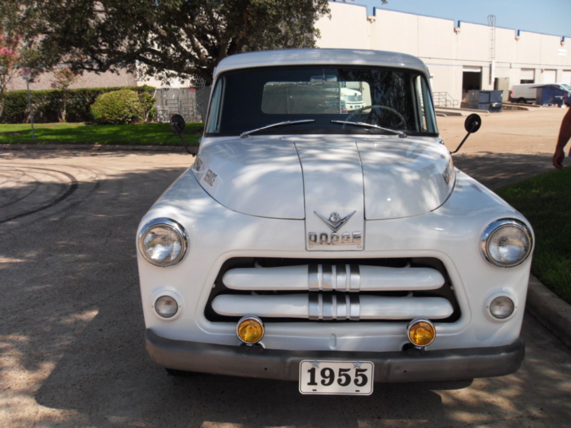 1955 Dodge Series C3 Pickup Truck - Image 4 of 18