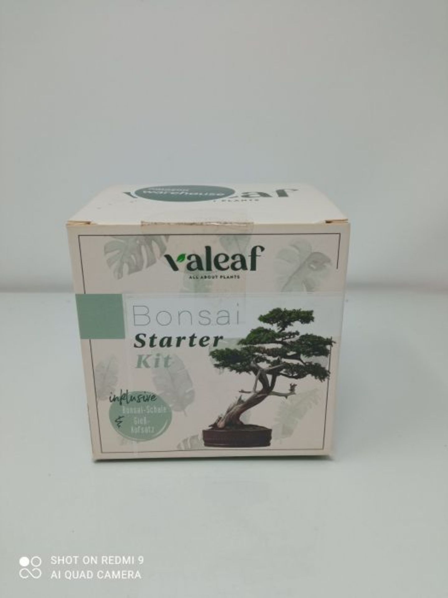 Valeaf Bonsai Starter Kit - Summer Sale, Grow Your Own Bonsai Tree - Growing Set Inclu - Image 2 of 3