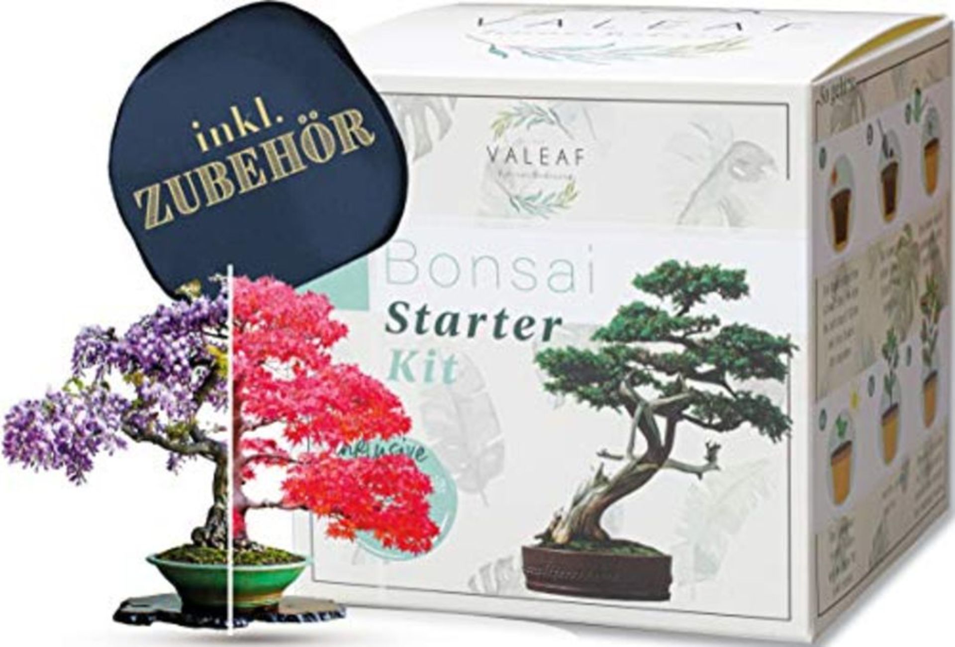 Valeaf Bonsai Starter Kit - Summer Sale, Grow Your Own Bonsai Tree - Growing Set Inclu