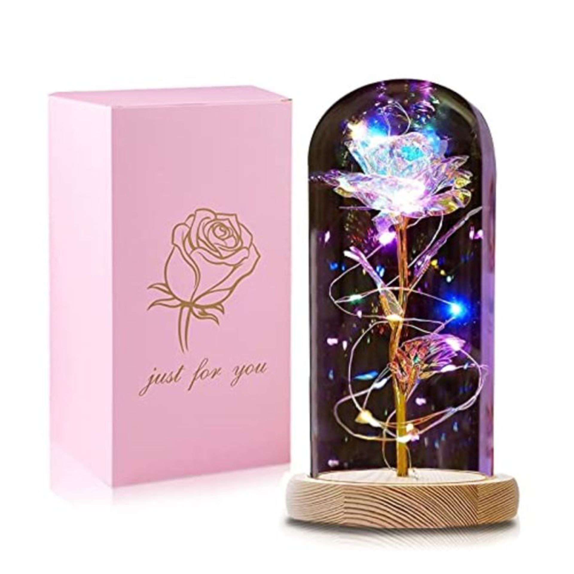 QUNPON Beauty and The Beast Rose Forever Infinity Rose in Glass Dome, Eternal Rainbow