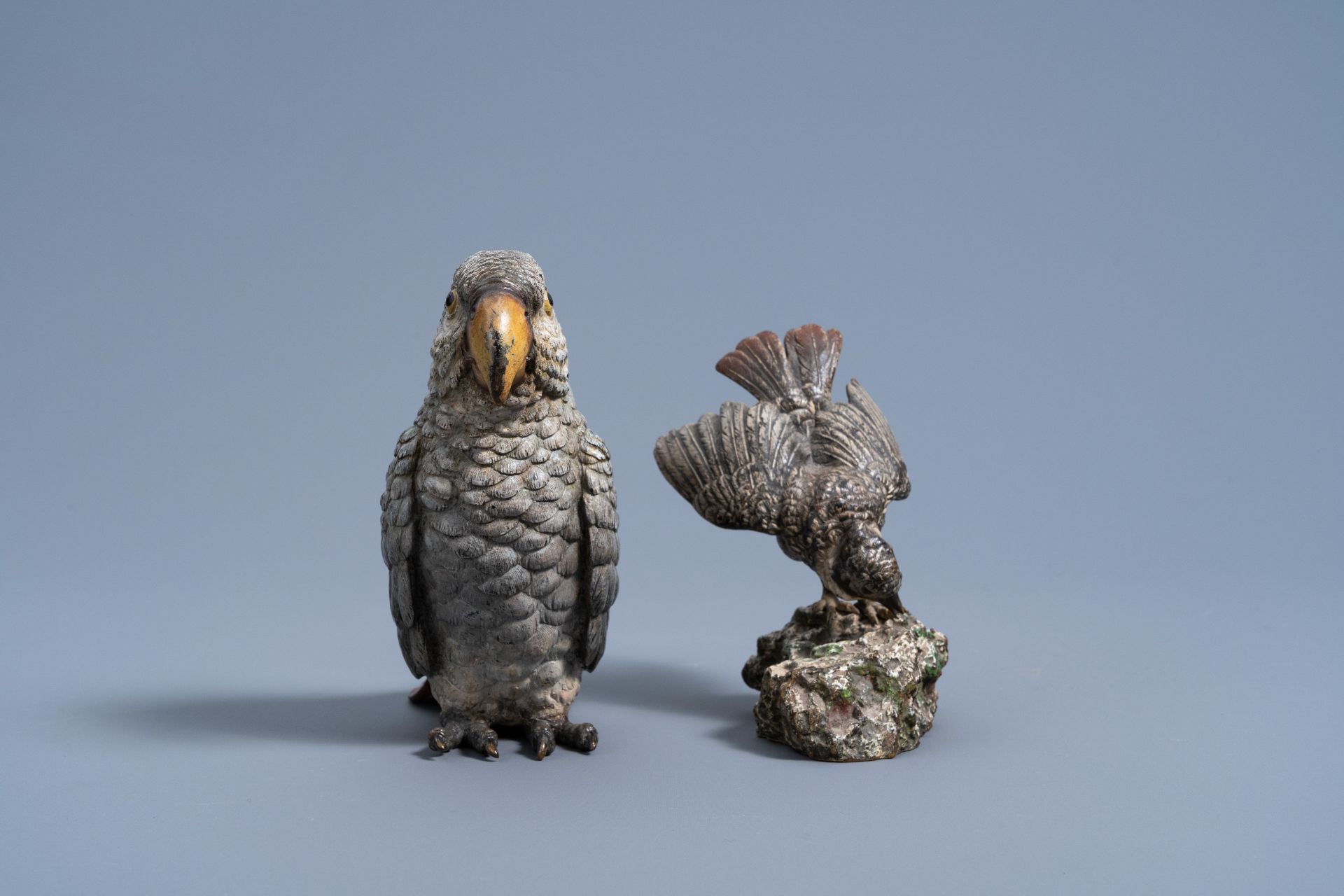 A Viennese polychrome cold painted bronze figure of an African grey parrot and a bird on a rock, 19t - Image 3 of 8