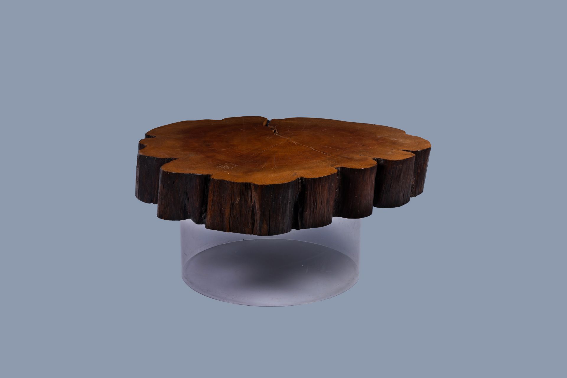 A Joaquim Tenreiro style tree trunk coffee table on a plexi base, third quarter of the 20th C.