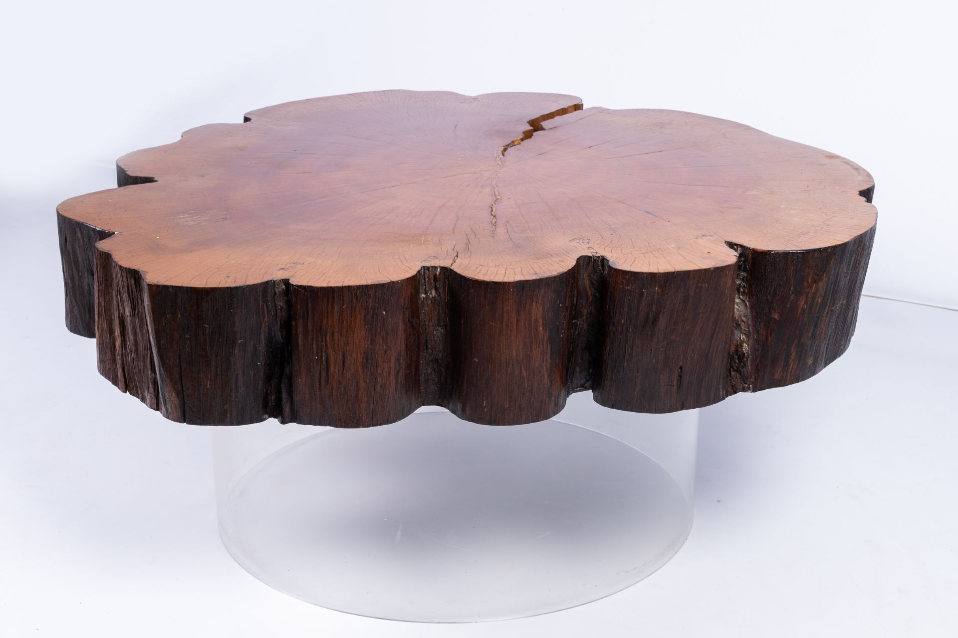 A Joaquim Tenreiro style tree trunk coffee table on a plexi base, third quarter of the 20th C. - Image 3 of 10