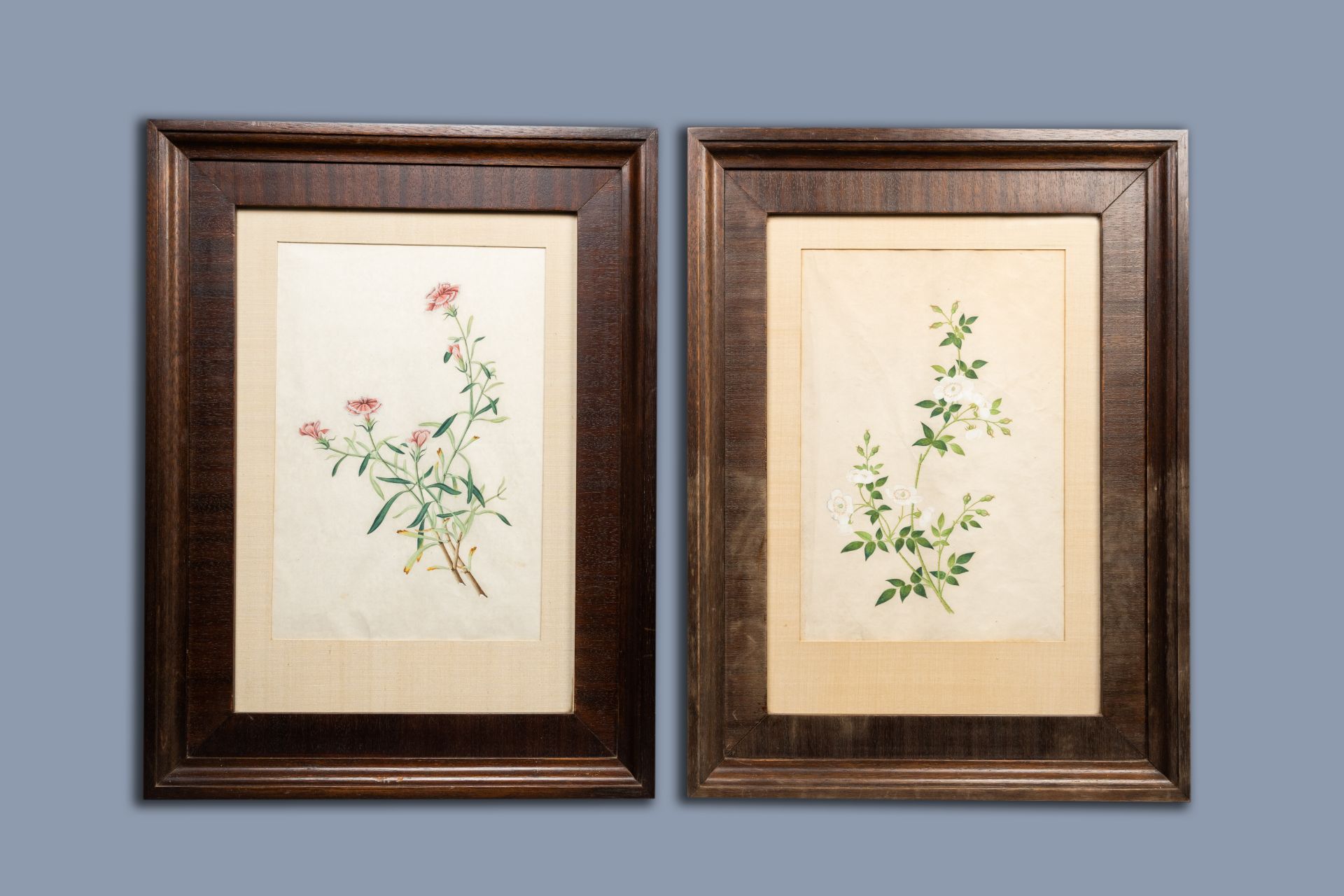 Chinese school, Canton: Two botanical paintings of wild roses and carnations, colour on paper, 19th