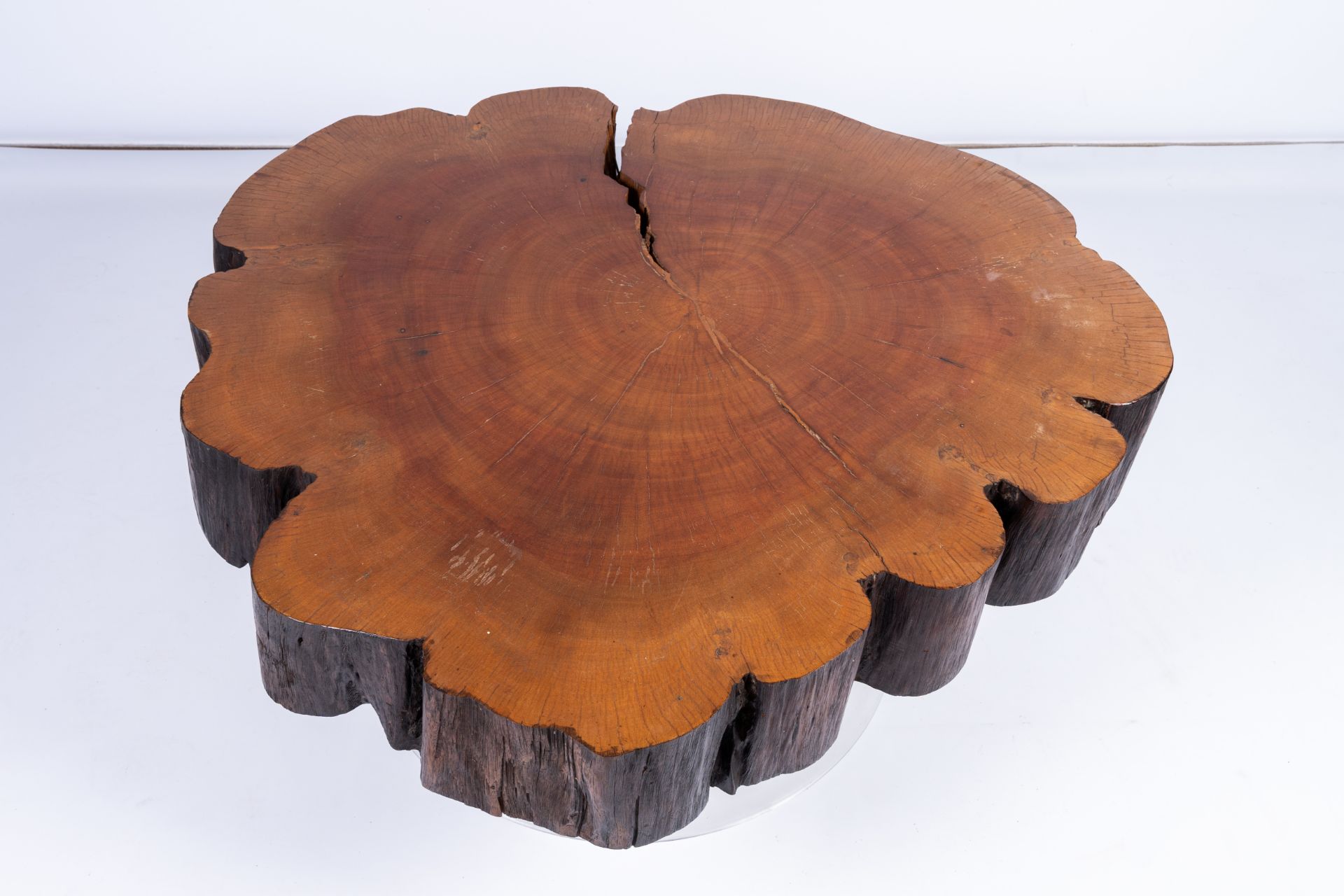 A Joaquim Tenreiro style tree trunk coffee table on a plexi base, third quarter of the 20th C. - Image 8 of 10