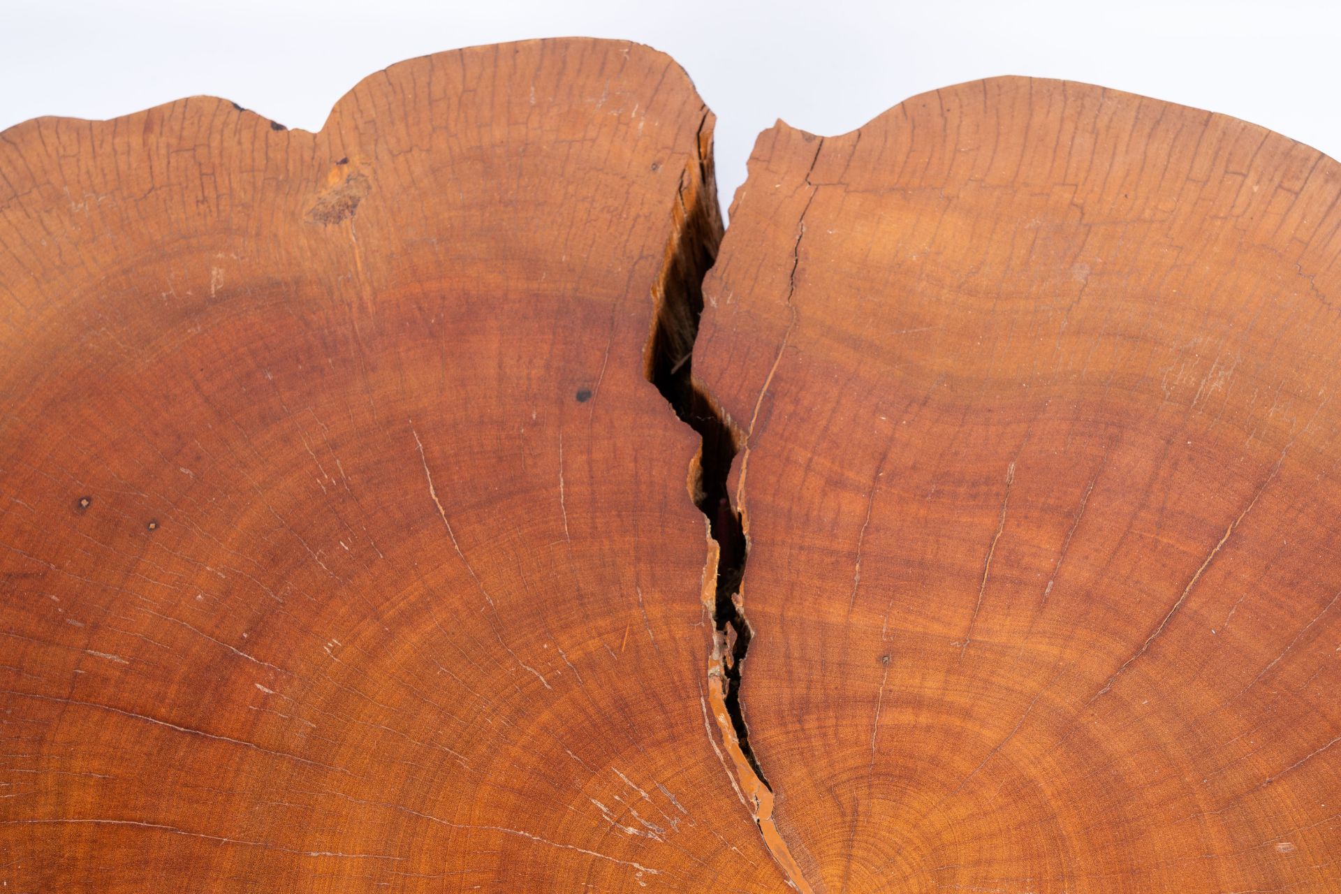 A Joaquim Tenreiro style tree trunk coffee table on a plexi base, third quarter of the 20th C. - Bild 9 aus 10