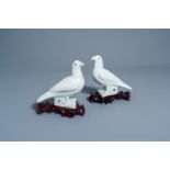 A pair of Chinese blanc de Chine models of pigeons, 19th C.