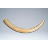 An unworked ivory tusk, Tanzania, 20th C.