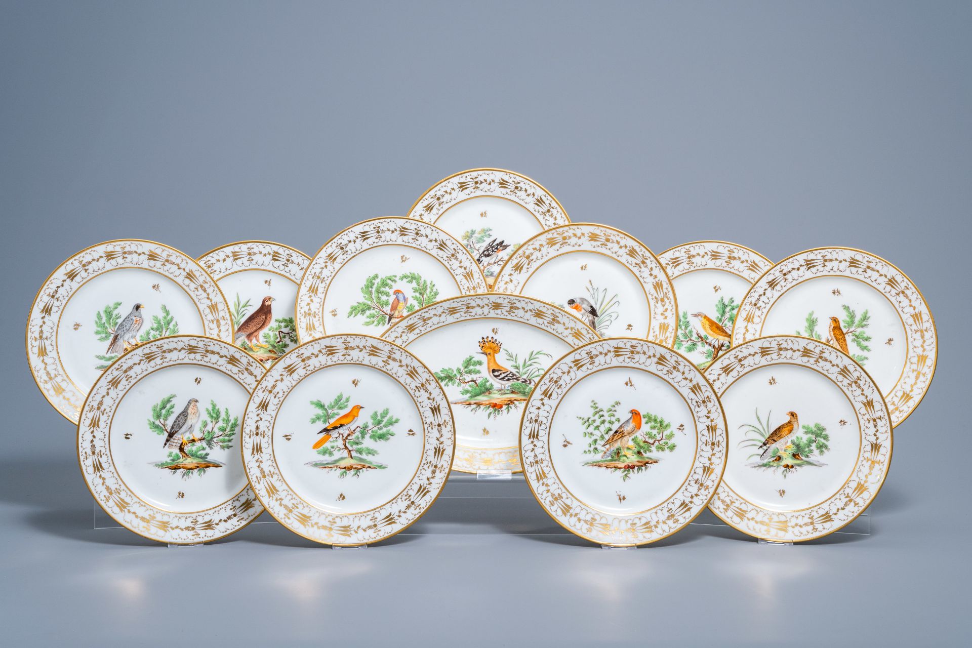 A set of eleven French plates and one oval charger with gilt and polychrome exotic birds design, fir