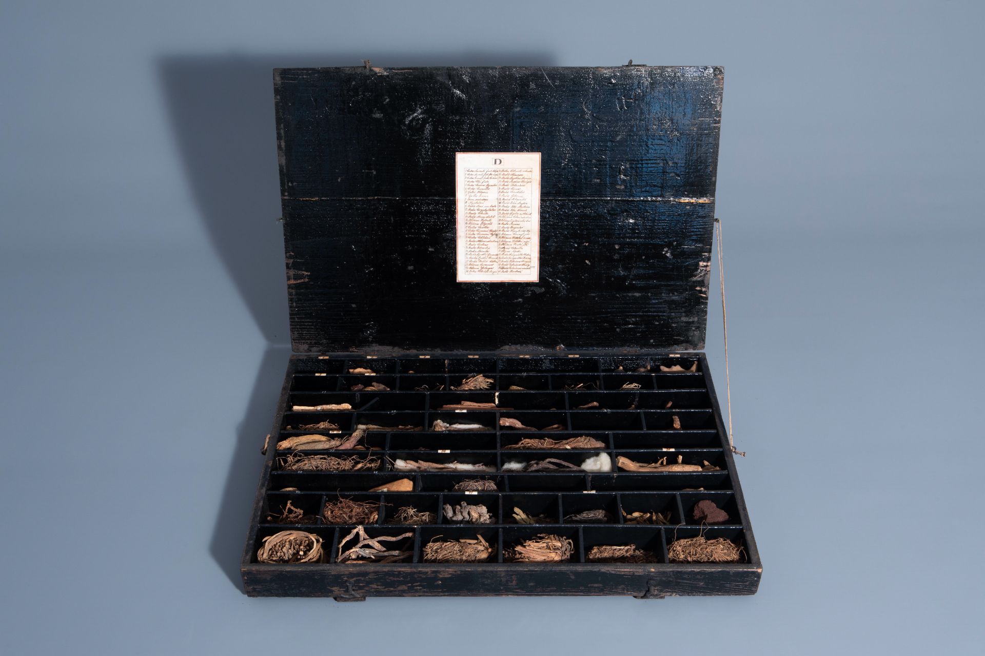 An extensive natural history collection with various types of wood, seeds, fruits, plant remains, mi - Bild 16 aus 34