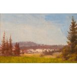 European school: Heathland landscape, oil on canvas, 19th/20th C.