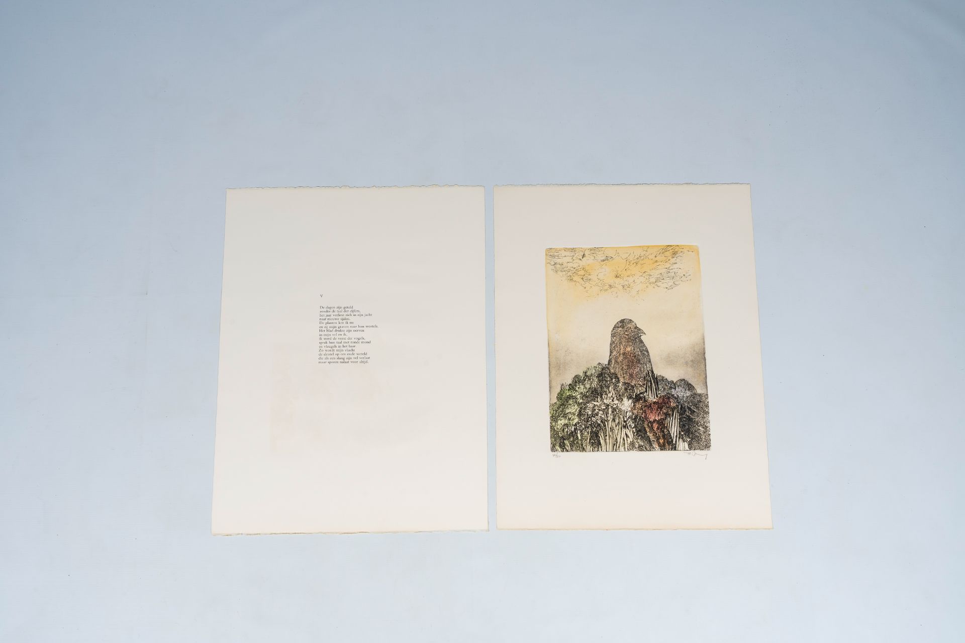 Frans Minnaert (1929-2011): 'Met Darwin op de Beagle', art folder with five etchings and five poems - Image 31 of 32